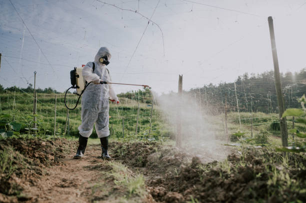 Best Best Pest Control Companies  in Hillburn, NY