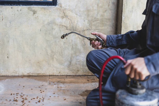 Professional Pest Control in Hillburn, NY