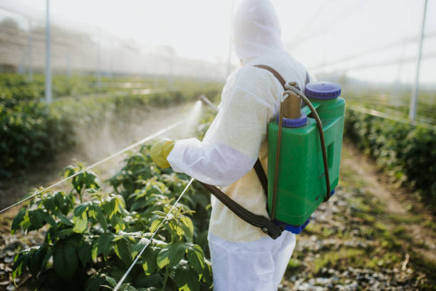 Best Exterminator Services  in Hillburn, NY